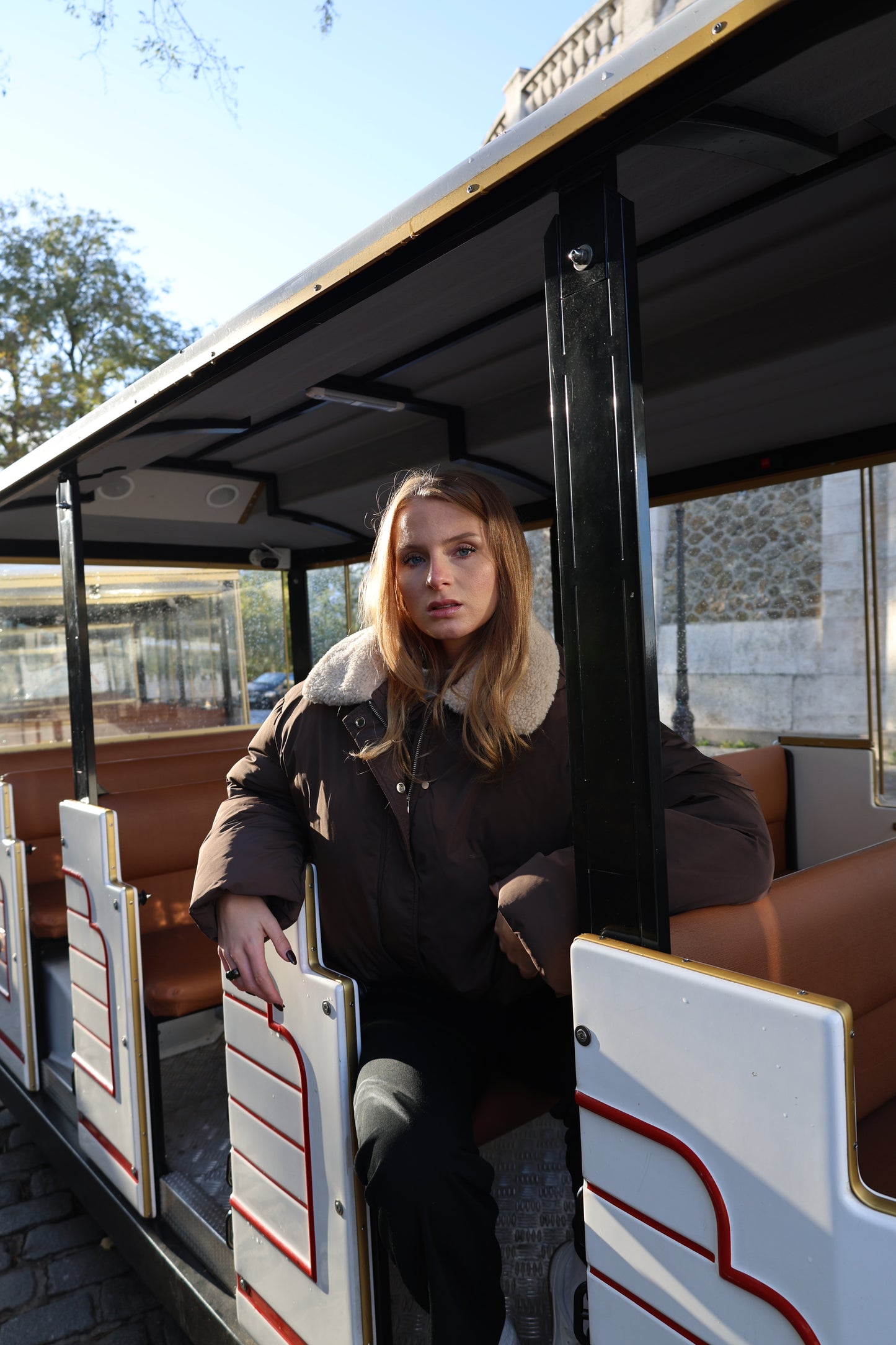 Puffer jacket with faux fur collar